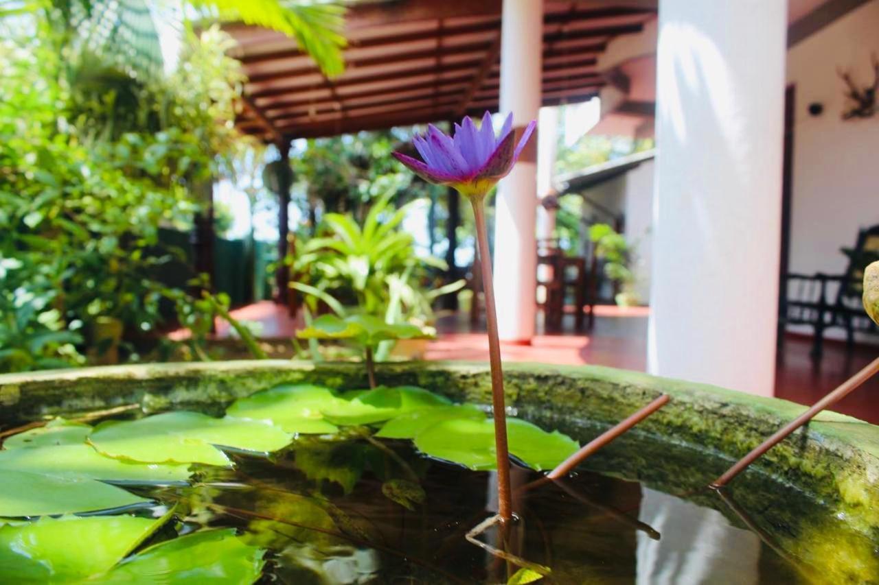 Sunrise Guest House & Restaurant Tangalle Eksteriør billede