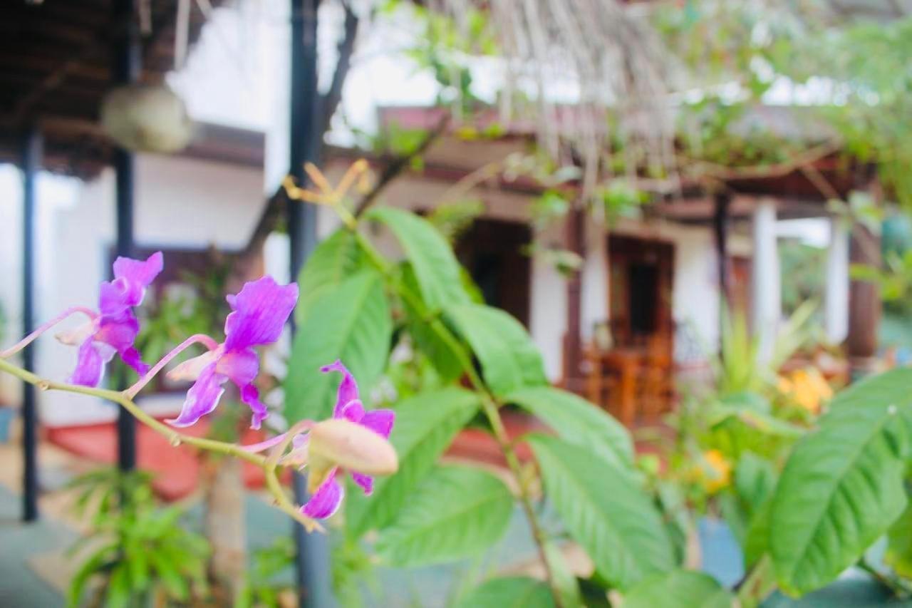 Sunrise Guest House & Restaurant Tangalle Eksteriør billede